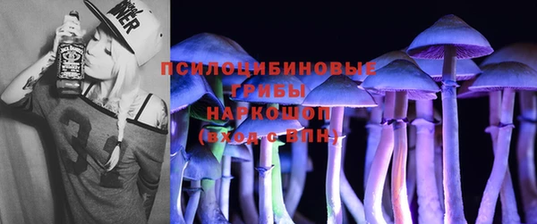 прущая мука Верея