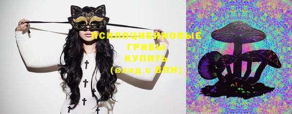 гашик Верхнеуральск