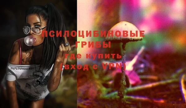 гашик Верхнеуральск