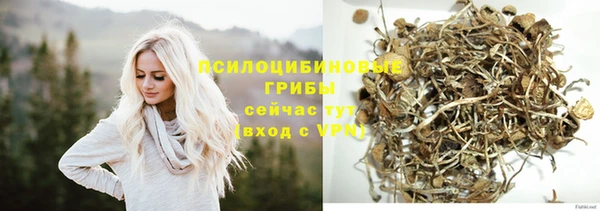прущая мука Верея
