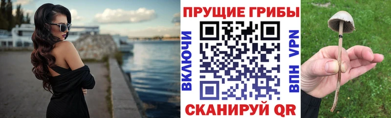 Псилоцибиновые грибы мухоморы  наркотики  Новохопёрск 